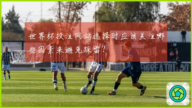 世界杯投注网站选择时应该关注哪些因素来避免踩雷？