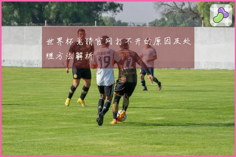 世界杯竞猜官网打不开的原因及处理方法解析