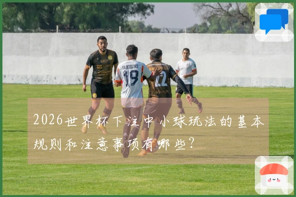 2026世界杯下注中小球玩法的基本规则和注意事项有哪些？