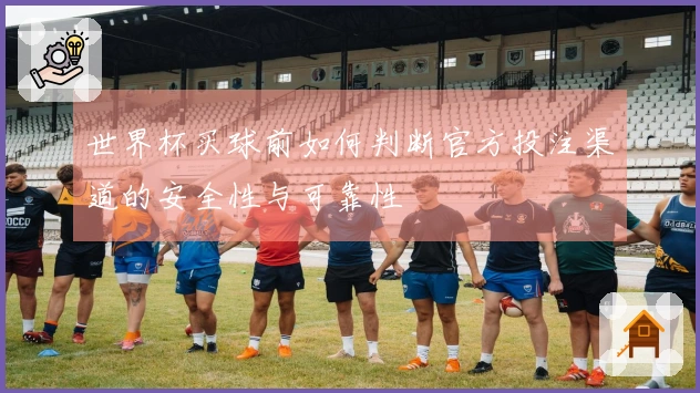 世界杯买球前如何判断官方投注渠道的安全性与可靠性
