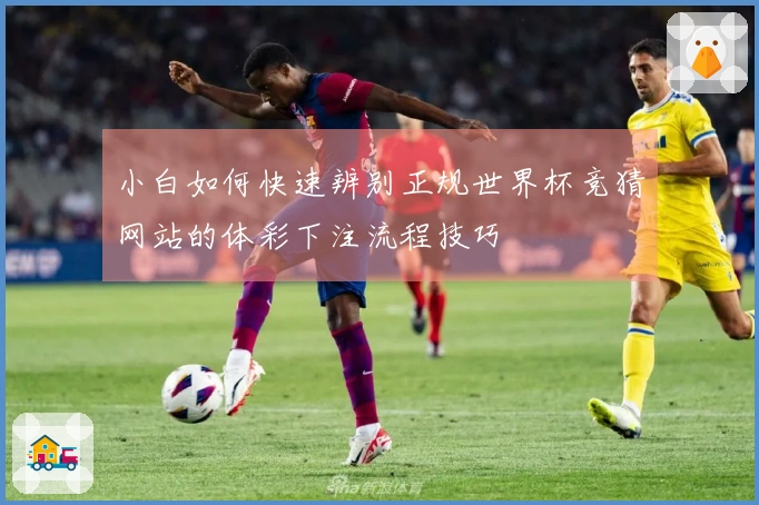 小白如何快速辨别正规世界杯竞猜网站的体彩下注流程技巧