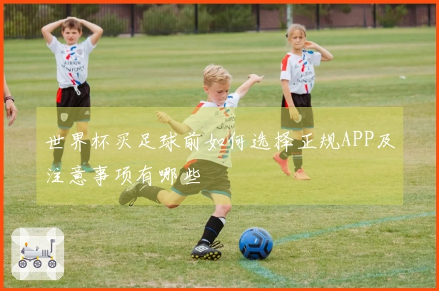 世界杯买足球前如何选择正规APP及注意事项有哪些