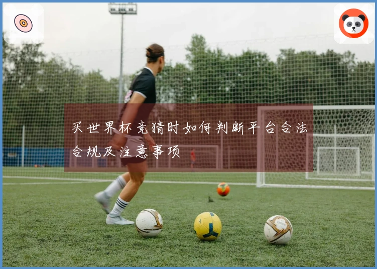 买世界杯竞猜时如何判断平台合法合规及注意事项