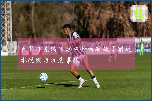 世界杯竞猜活动中如何有效了解返水规则与注意事项