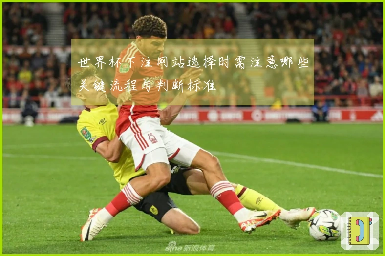世界杯下注网站选择时需注意哪些关键流程与判断标准