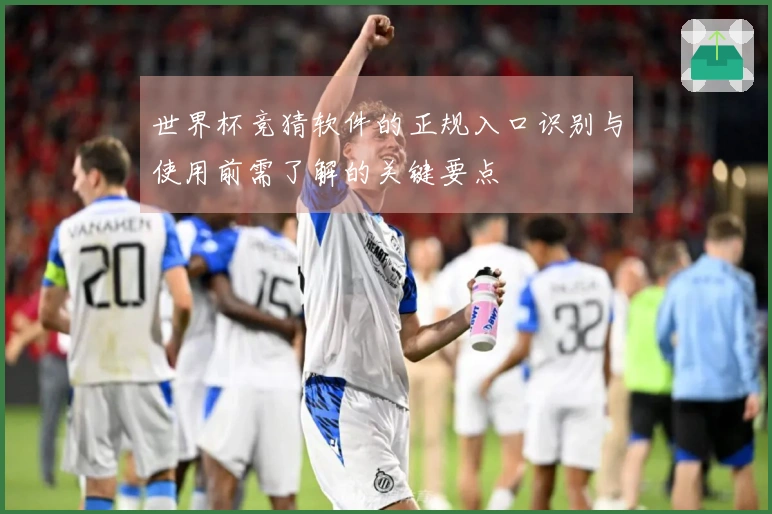 世界杯竞猜软件的正规入口识别与使用前需了解的关键要点
