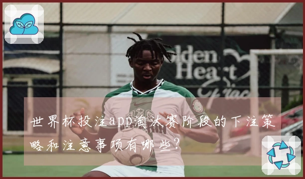 世界杯投注app淘汰赛阶段的下注策略和注意事项有哪些？