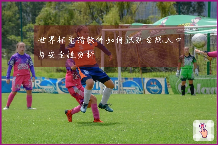 世界杯竞猜软件如何识别合规入口与安全性分析