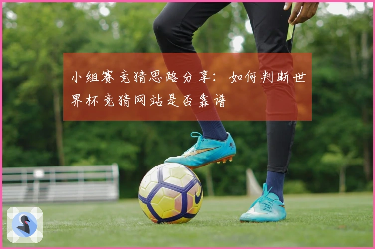 小组赛竞猜思路分享：如何判断世界杯竞猜网站是否靠谱