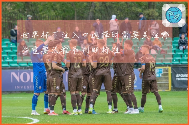 世界杯下注入口选择时需要关注哪些重要流程和判断标准