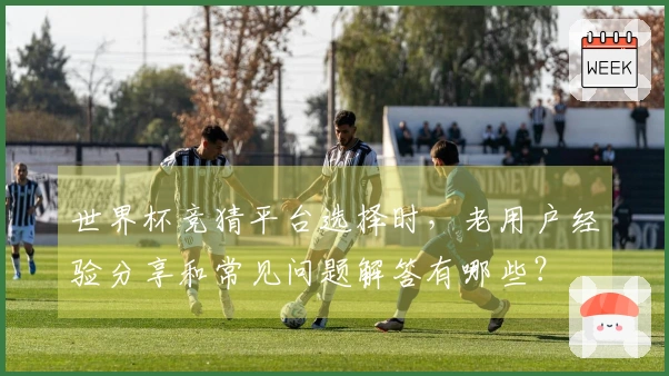 世界杯竞猜平台选择时，老用户经验分享和常见问题解答有哪些？