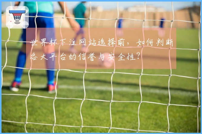 世界杯下注网站选择前，如何判断各大平台的信誉与安全性？