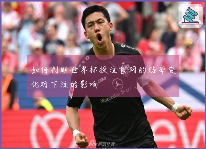 如何判断世界杯投注官网的赔率变化对下注的影响