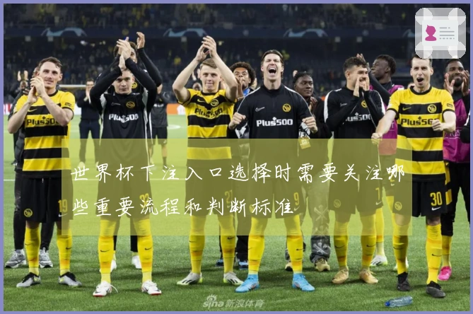 世界杯下注入口选择时需要关注哪些重要流程和判断标准