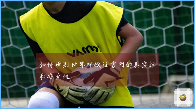 如何辨别世界杯投注官网的真实性和安全性