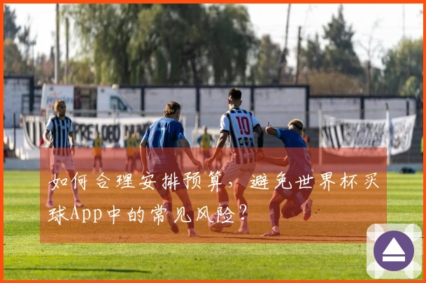 如何合理安排预算，避免世界杯买球App中的常见风险？