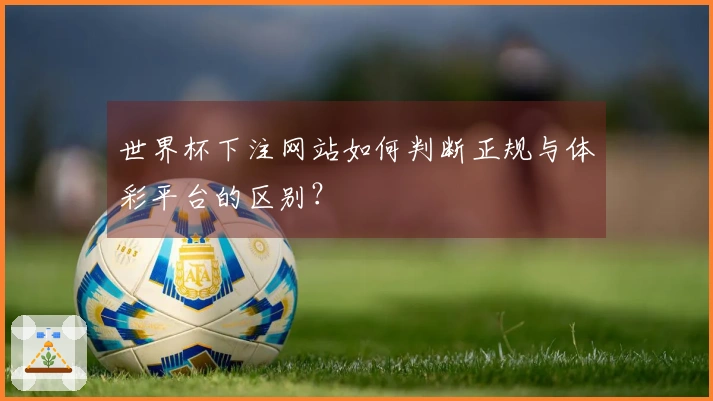 世界杯下注网站如何判断正规与体彩平台的区别？