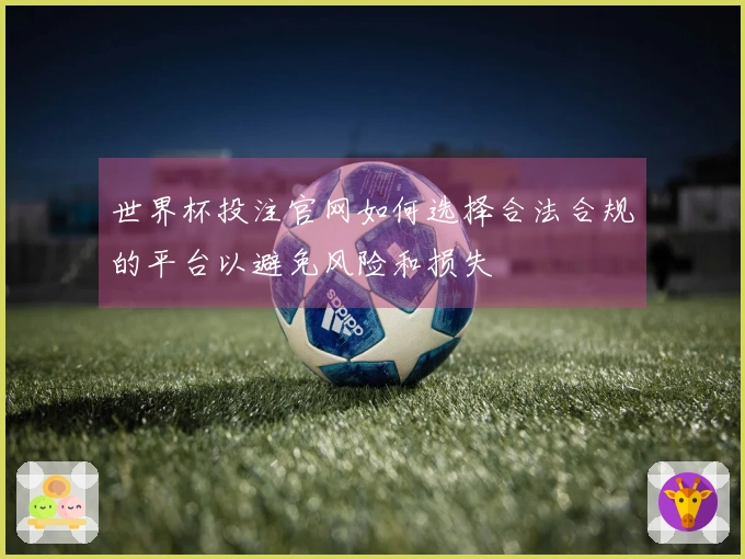 世界杯投注官网如何选择合法合规的平台以避免风险和损失