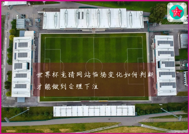世界杯竞猜网站临场变化如何判断才能做到合理下注