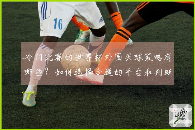 冷门比赛的世界杯外围买球策略有哪些？如何选择合适的平台和判断规则？