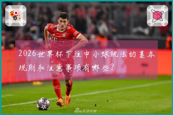 2026世界杯下注中小球玩法的基本规则和注意事项有哪些？