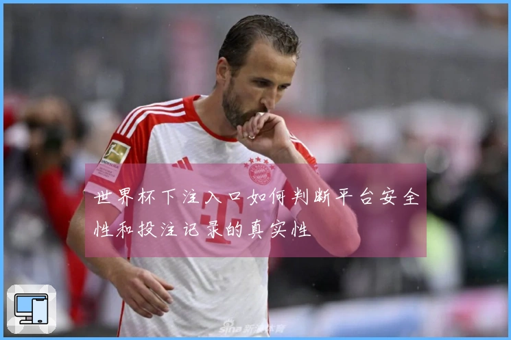 世界杯下注入口如何判断平台安全性和投注记录的真实性