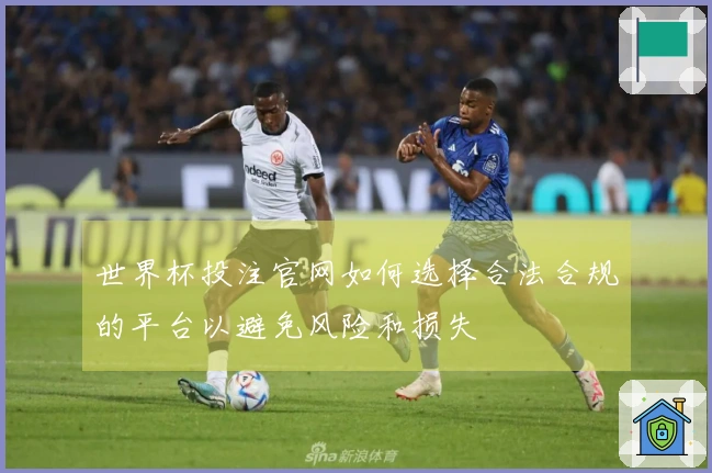 世界杯投注官网如何选择合法合规的平台以避免风险和损失