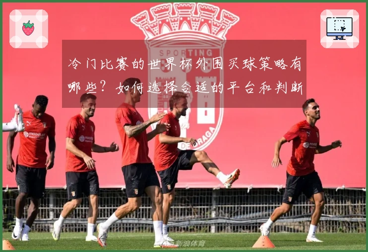 冷门比赛的世界杯外围买球策略有哪些？如何选择合适的平台和判断规则？